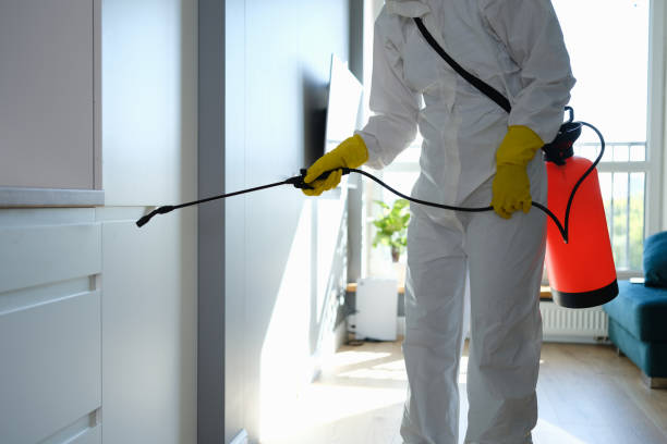 Best Professional Mold Removal  in Oriska, NY