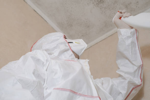 Best Mold Cleaning Services  in Oriska, NY