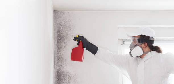 Best Residential Mold Removal  in Oriska, NY