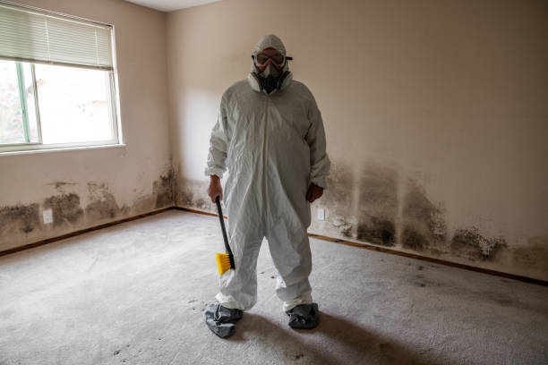 Best Attic Mold Removal  in Oriska, NY